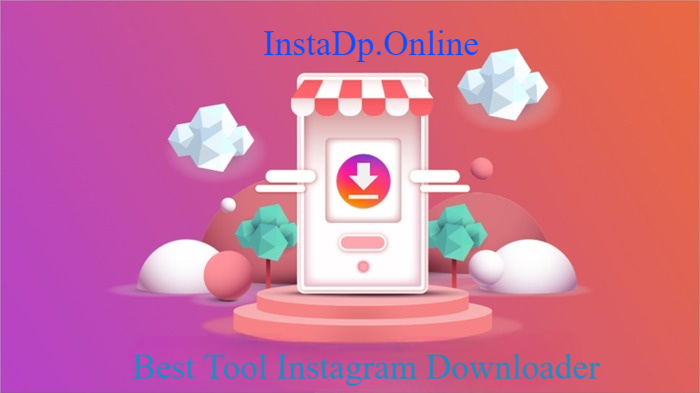 Bestes Tool zum Herunterladen von Instagram-Videos von InstaDp