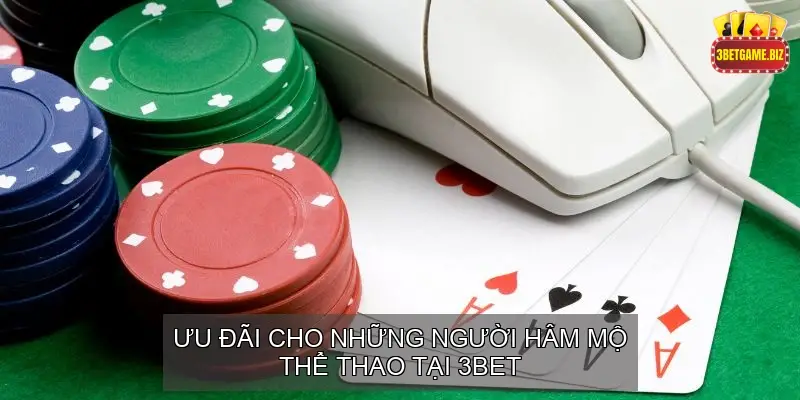 Khuyến Mãi 3BET Dành Cho Người Chơi Ở Mọi Cấp Bậc 6 Ưu Đãi Cho Những Người Hâm Mộ Thể Thao Tại 3BET